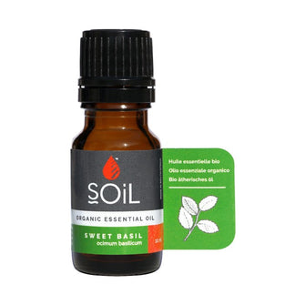 Basil oil 10ml (Ocimum Basilicum)