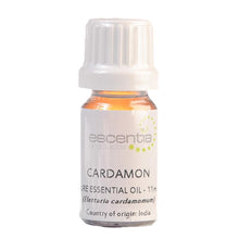 Cardamon Essential Oil