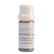 Frankincense Serrata Essential Oil