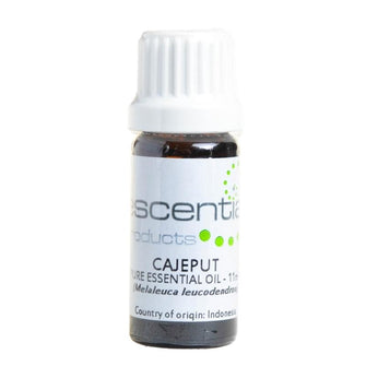 Cajeput Pure Essential Oil