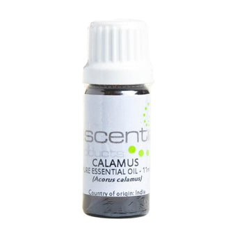 Calamus Pure Essential Oil