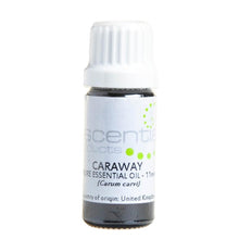 Caraway Essential Oil