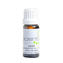 Sage Essential Oil