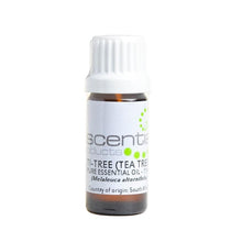 Organic Tea Tree Essential Oil