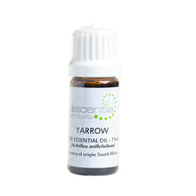 Yarrow Essential Oil