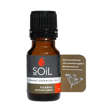 Fennel oil 10ml (Foeniculum Vulgare)