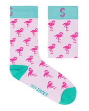 Flamingos