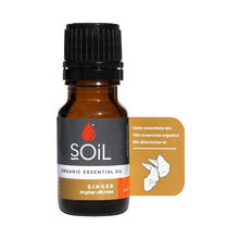 Ginger oil 10ml (Zingiber Officinale)