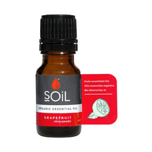 Grapefruit oil 10ml (Citrus Paradisi)