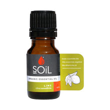 Lime oil 10ml (Citrus Aurantifolia)