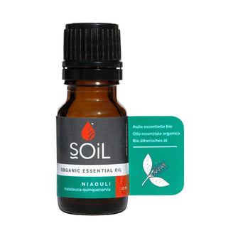 Niaouli oil 10ml (Melaeuca Quinquenervia)