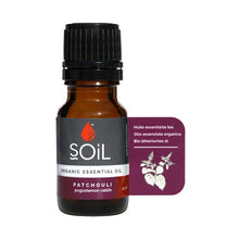 Patchouli oil 10ml (Pogostemon Cablin)