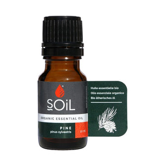 Pine oil 10ml (Pinus Sylvestris)