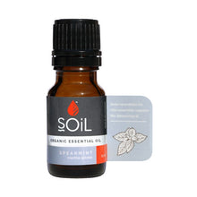 Spearmint oil 10ml (Mentha Spicata)