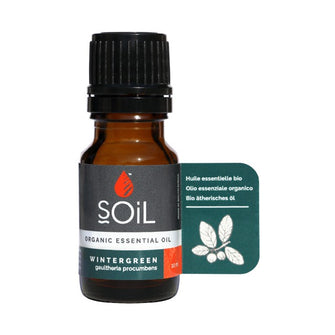 Wintergreen oil 10ml (Gaulteria Fragrantissima)