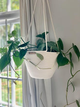 Hanging Plant Basket