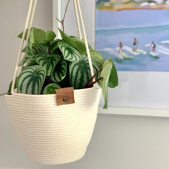 Hanging Plant Basket