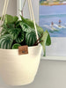 Hanging Plant Basket