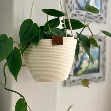 Hanging Plant Basket