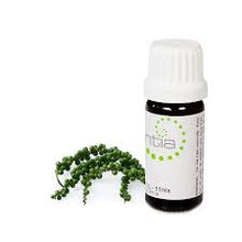 Black Pepper Pure Essential Oil