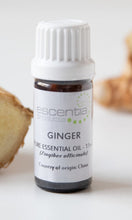 Ginger Essential Oil