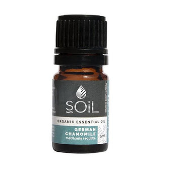 Chamomile oil, German 5ml (Matricaria recutita)