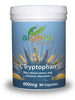 L'tryptophan Capsules