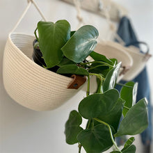 Wall Hanging Basket